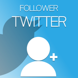 Twitter Followers