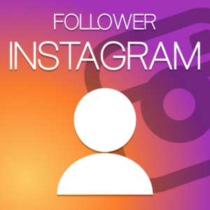 Instagram Followers