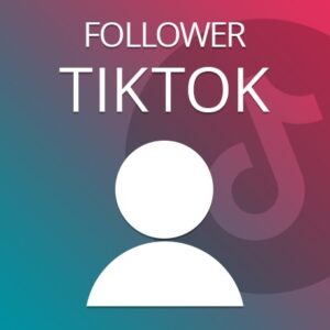 TikTok Followers